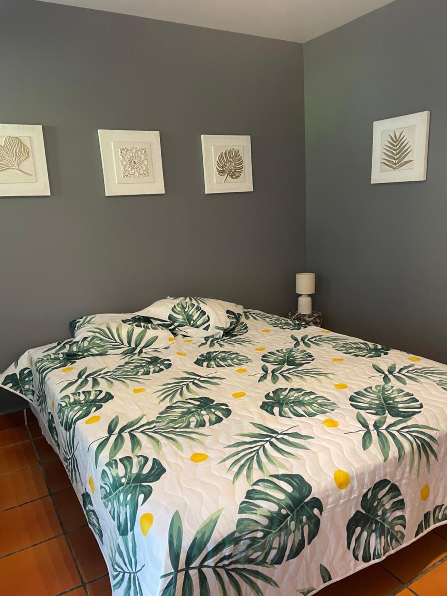 Studio Hibiscus Anse Des Rochers Saint Francois Extérieur photo
